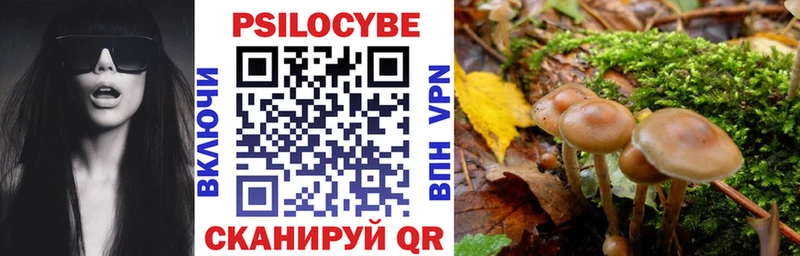 Купить закладки  Юрюзань  Галлюциногенные грибы Cubensis 